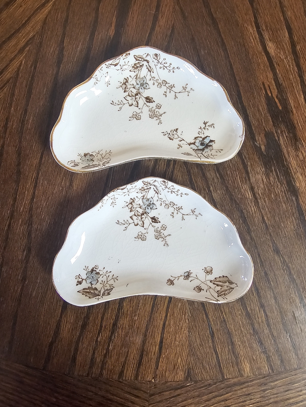 Set of 2 Floral Scalloped Bone China Dishes White Brown and Blue Accents Antique